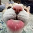 pspBlep