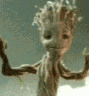 dancegroot