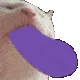 CatJamSucc CatJamSucc