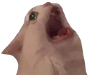 ueueue ueueue