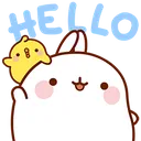 MPHello