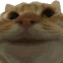 catyes
