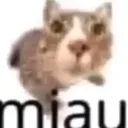 miau