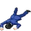 Phoenix_ded