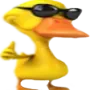 pato_da_gouveia