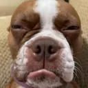 emoji_22