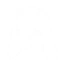 203bunny