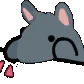bongo_rat