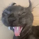 anger anger