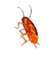 bugmeme