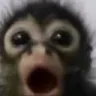 gasp