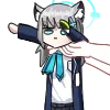 shirokolong