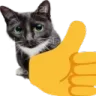 thumb_yoy