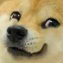 dogehappy