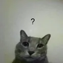 ayo