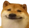 dogSmile dogSmile