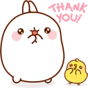 MPThankyou