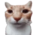 myreactiontothatinformation