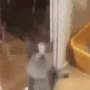 happyjumps