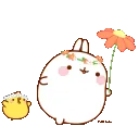 MPFlowerSkipping