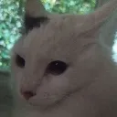 BruhWtf