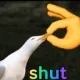 shut
