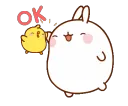 MPOk MPOk