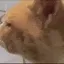 HUH