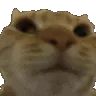 no