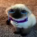 cri