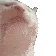 catJAM