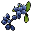 blueberry