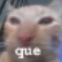 que