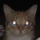 stare stare