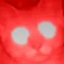 laserpotat
