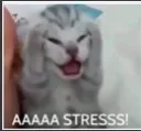 aaa_stress