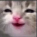 hehehe