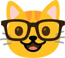 cat_nerd