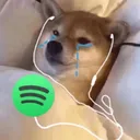doggysadsong Discord Emoji