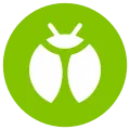 _Bug_Icon