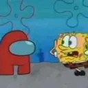 sus