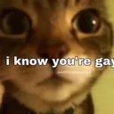 __