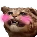 weebcat