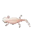axonyoom