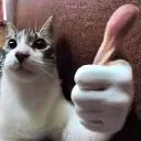 THgatothumbs