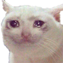 catotroste Discord emoji