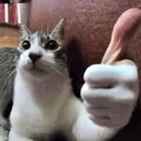 catthumbs