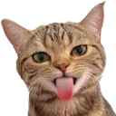 bleeeeeh
