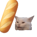 KL_bonk_cat Discord Emoji