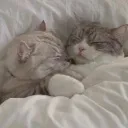 sleep